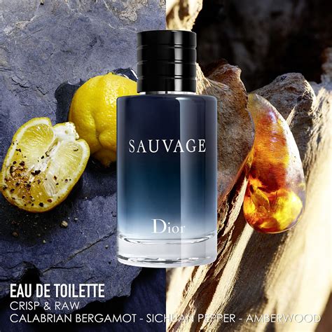 dior savage eu de toilette